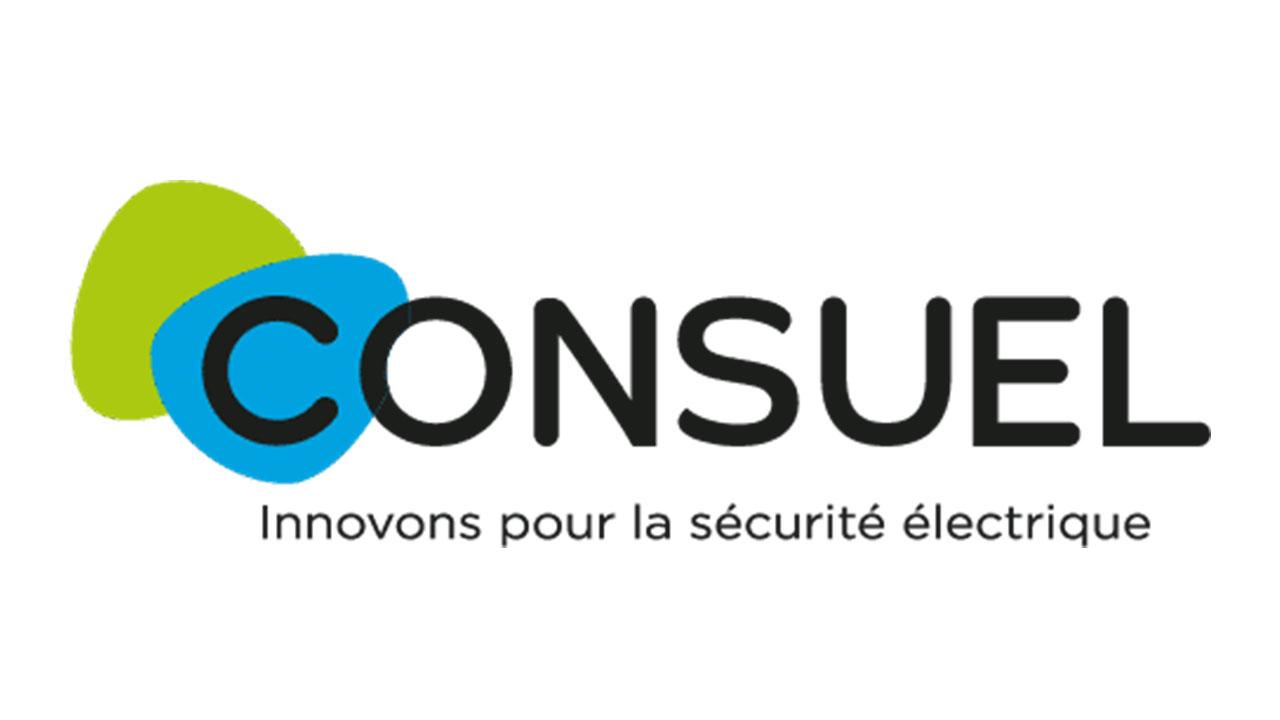 Comité National Pour La Sécurité Des Usagers De L électricité
